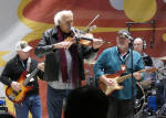 musicians playing