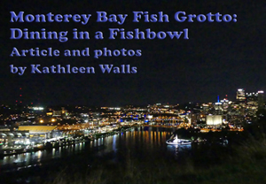 Pittsburgh nigh skylight view from Montery Bay Fish Grotto