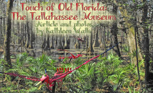 Cypress swamp wiht Jim Gary sculptures at Tallahassee Musuem used as header