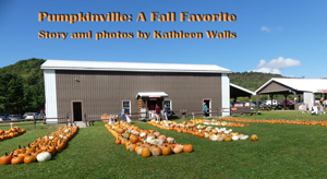 Pumpkins in front of a barn