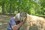 author with wolf