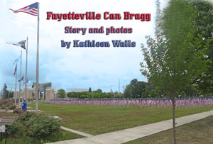 Field of American Flags at Fort Bragg's Airborne Museum